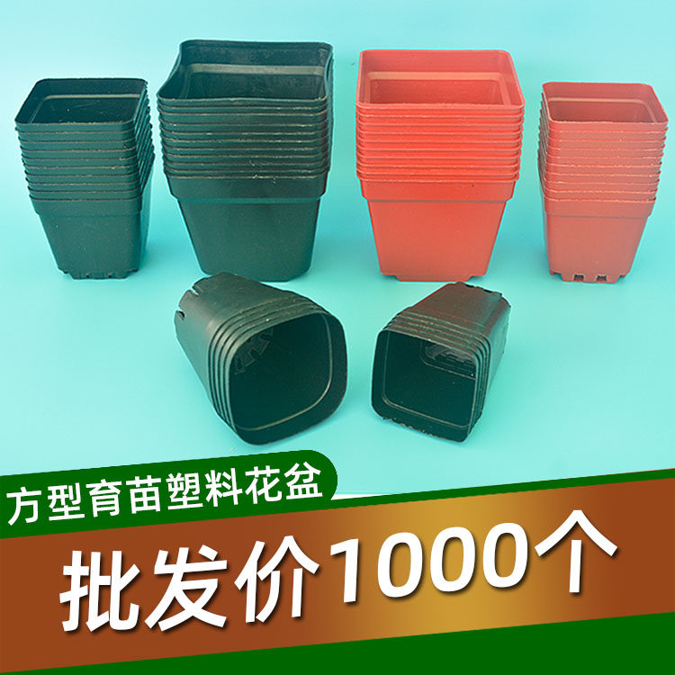 整件蛇皮带装小方型形营养培育苗杯多肉塑料花盆钵园艺栽种绿植物