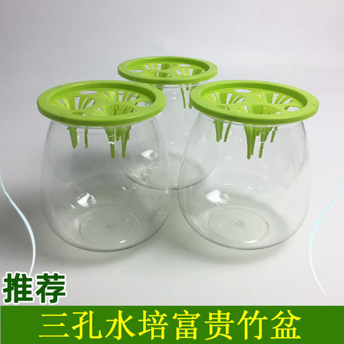 灯炮款三孔水培透明塑料懒人花盆定植蓝虎皮兰发财树富贵观音竹盆