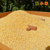 硒方生态小米子粥 五谷杂粮新小米 恩施农家粘小米 含硒黄小米