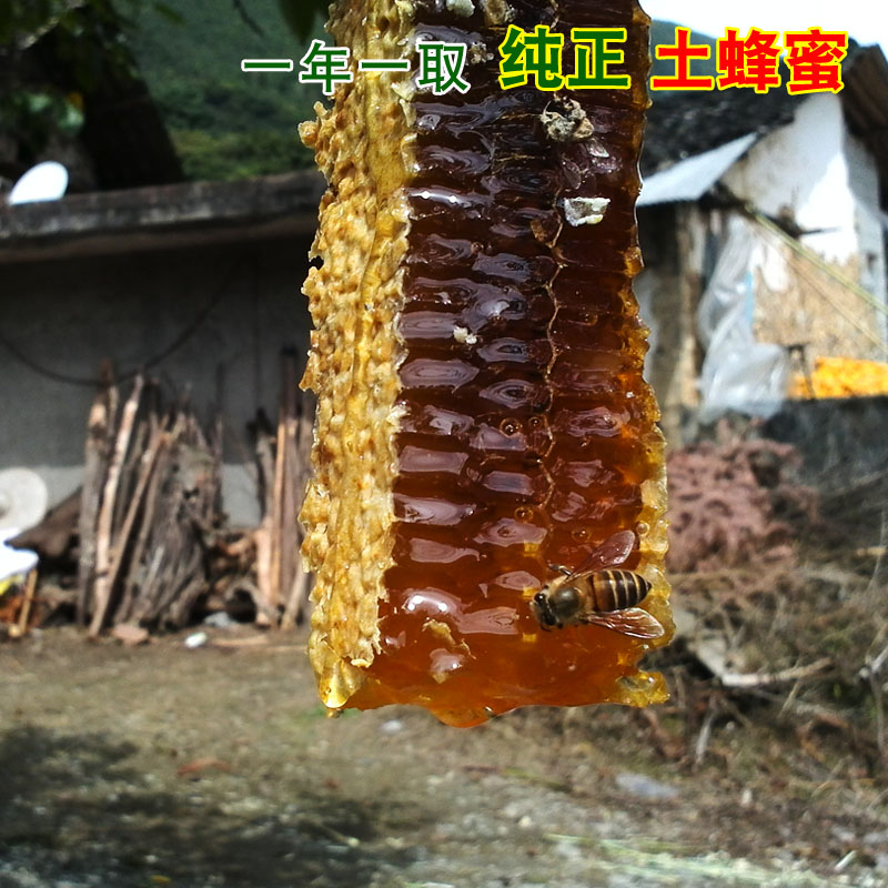 恩施纯正土蜂蜜1斤 硒方生态 天然野生蜂蜜 深山农家百花蜜成熟蜜