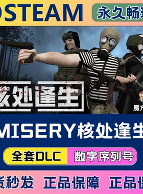 MISERY核处逢生Steam国区全球区在线联机单机游戏全DLC序列号密钥