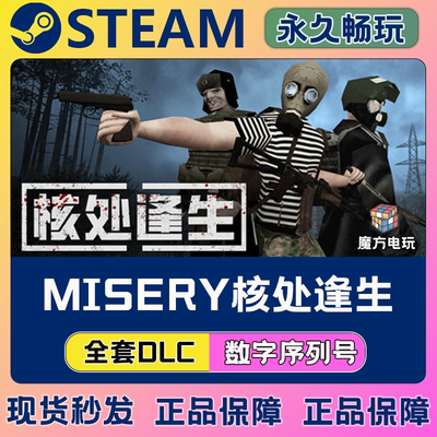 MISERY核处逢生Steam国区全球区在线联机单机游戏全DLC序列号密钥