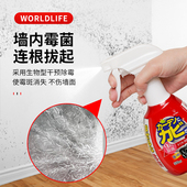 日本除霉剂家用去墙壁霉斑霉菌墙体墙面除菌消臭喷雾