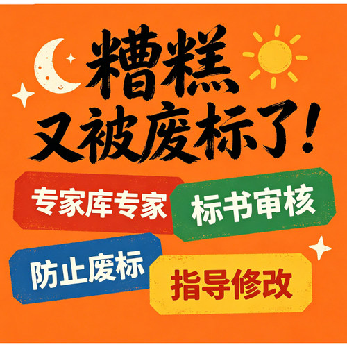 标书检查暗标核查标书审查投标文件废标项检查审核专家审标复核