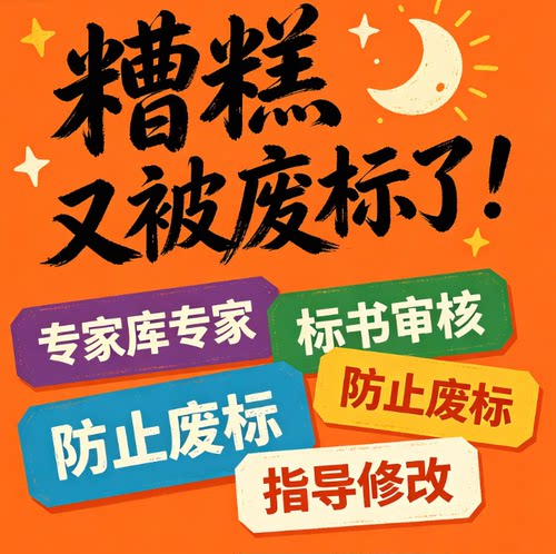 标书审核审查标书检查投标文件检查核查投标书专家审标废标项查验