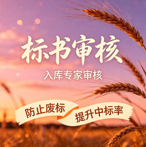 标书审核审查标书检查投标文件检查核查投标书专家审标废标项查验