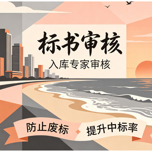 标书审核审查标书检查投标文件检查核查投标书专家审标废标项查验