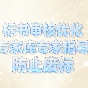 标书审核优化专家库指导防止废标投标书审核优化复核预审检查标书