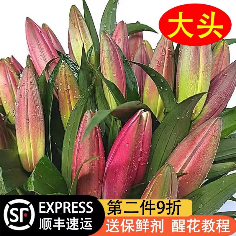 百合鲜花花束香水百合花鲜花云南基地直发插花鲜花客厅同城速递