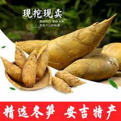 安吉新鲜冬笋特产农家现挖现发5斤装包邮野生甜脆嫩竹笋子时令蔬
