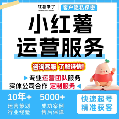 小红xhs书薯代理运营爆款文案笔记打造投流推送内容策划推广服务