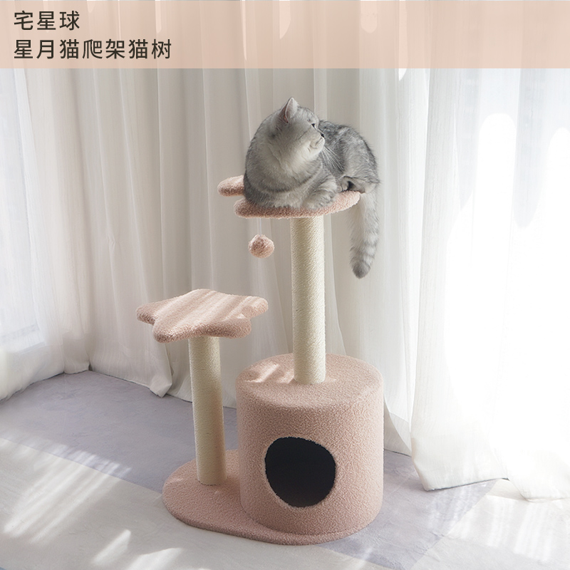 含泪告别款星月猫爬架小型不占地