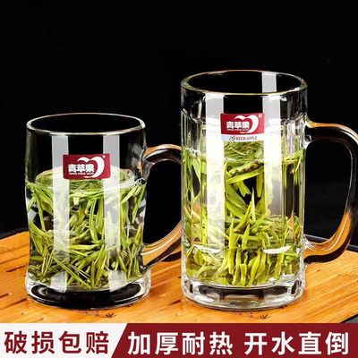 青苹果带把玻璃杯家用耐热泡茶杯水杯大容量扎啤杯果汁杯啤酒杯子