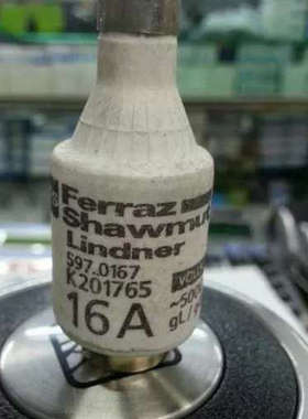 Ferraz shawmut Lindner可熔DIIGG50V16 gL/gG 597.0167/K201765