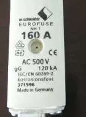 m./EUROFUSE熔断器NH1 160A 500V 100KA gG 直拍