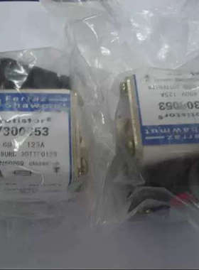 Ferraz Shawmut熔断器 V300053 125A 690V AC (6.9URD30TTF0125)