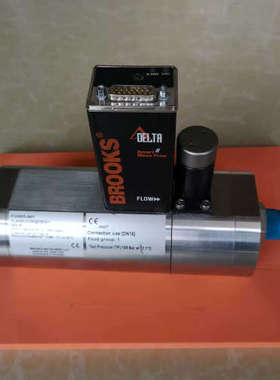 布鲁可斯 BROOKS F24585-001 H2 0-300slpm 流量计