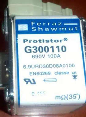 罗兰保险丝（熔断器）G300110 100A690V (6.9URD30D08A0100)