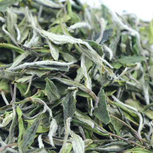品茗桂香明前高山福鼎白牡丹