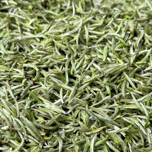 白毫银针老树福鼎白茶毫香蜜韵