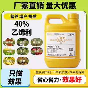 农药乙烯利香蕉水稻番茄棉花柿子树催熟橡胶树增产生长调节剂正品