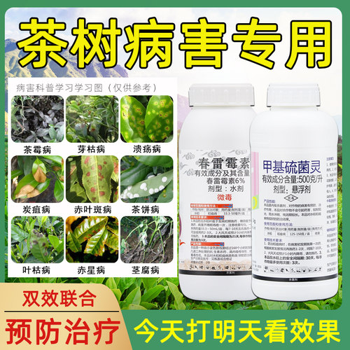 茶叶专用药农药杀菌剂