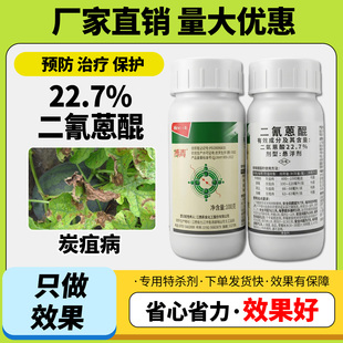 农药22.7%二氰蒽醌西瓜辣椒苹果树草莓炭疽病农药杀菌剂正品大全