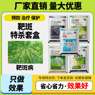 农药靶斑连窝端黄瓜黄点病靶斑病月季黑斑病褐斑病黄斑病杀菌剂