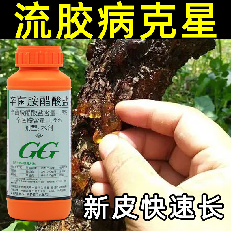 农药大全辛菌胺醋酸盐樱桃树果树腐烂病果锈病流胶病专用药杀菌剂