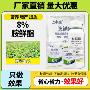 农药8％胺鲜酯脂提高叶绿素促进光合作用增强吸收调节平衡增产