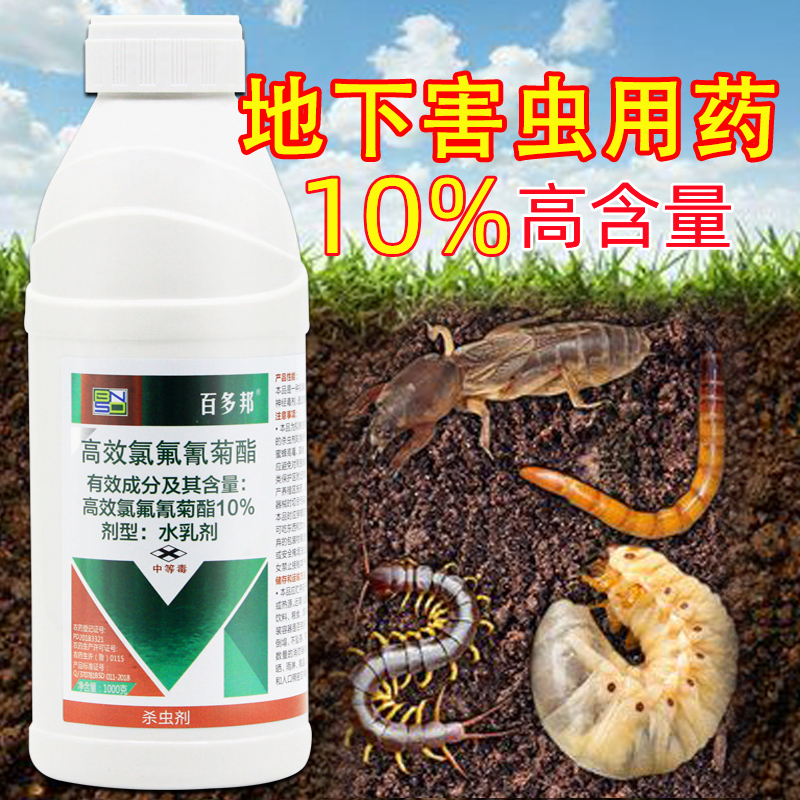 地下害虫专用药杀虫剂
