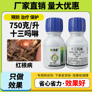 农药750克/升十三吗啉橡胶树红根病十三吗啉农药杀菌剂正品保证