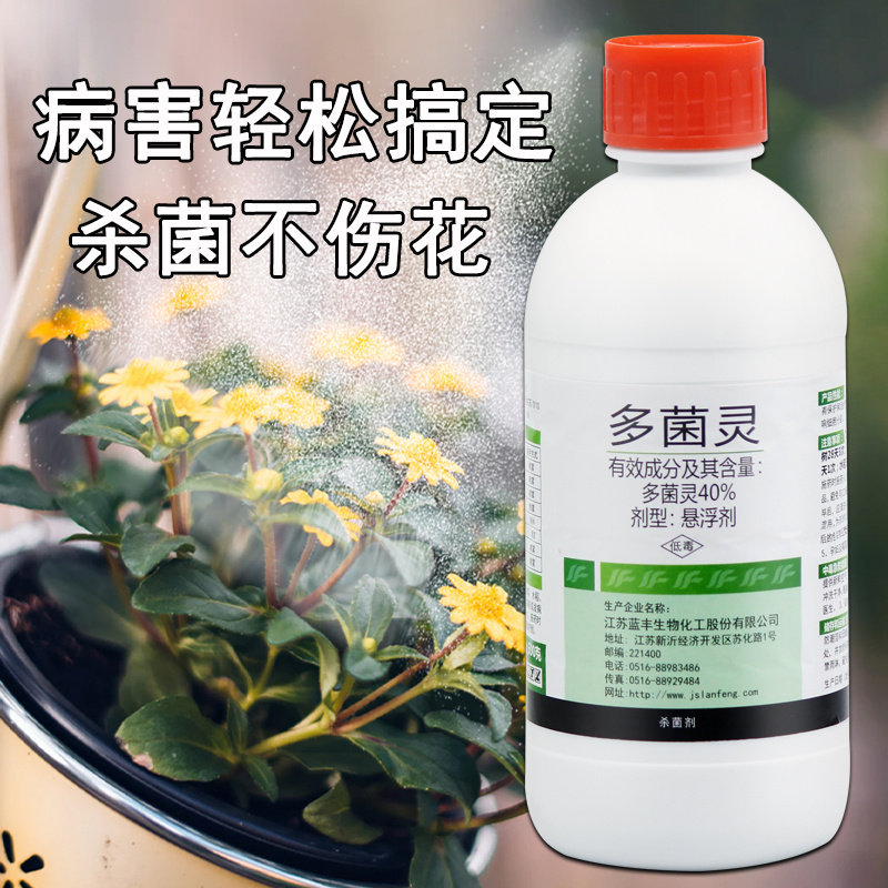 多菌灵黑斑病药月季兰花玫瑰花多肉植物茶花绣球白粉病通用杀菌剂