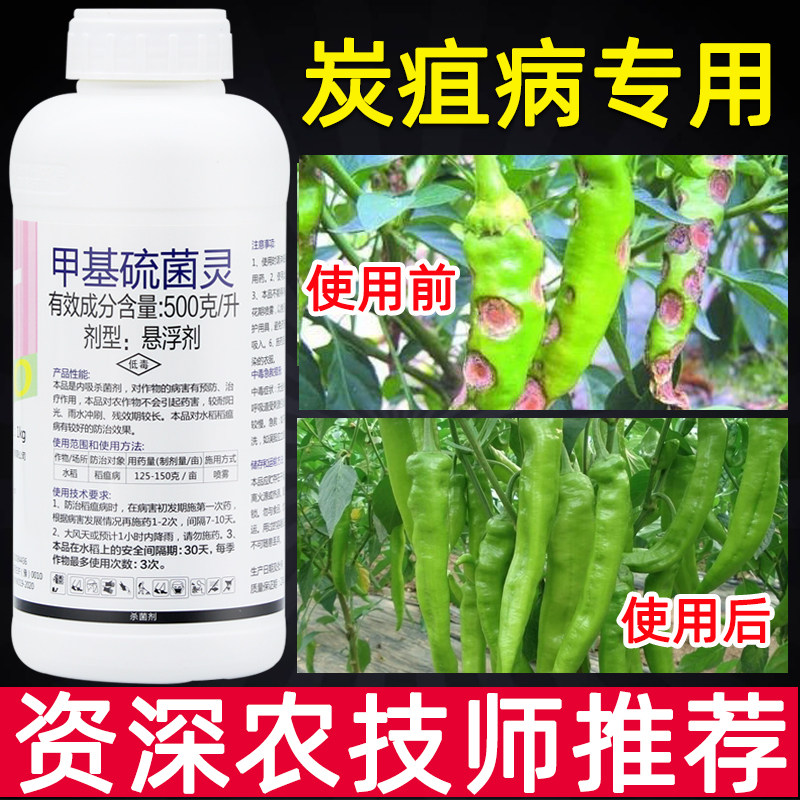 甲基硫菌灵农药柑橘果树番茄草莓辣椒葡萄西瓜炭疽病专用杀菌剂药