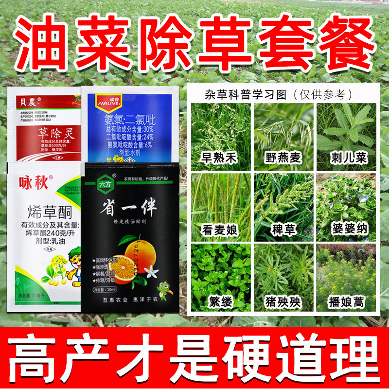 油菜田除草苗后油菜地专用除草剂甘蓝型禾阔双除烂根剂打油菜农药