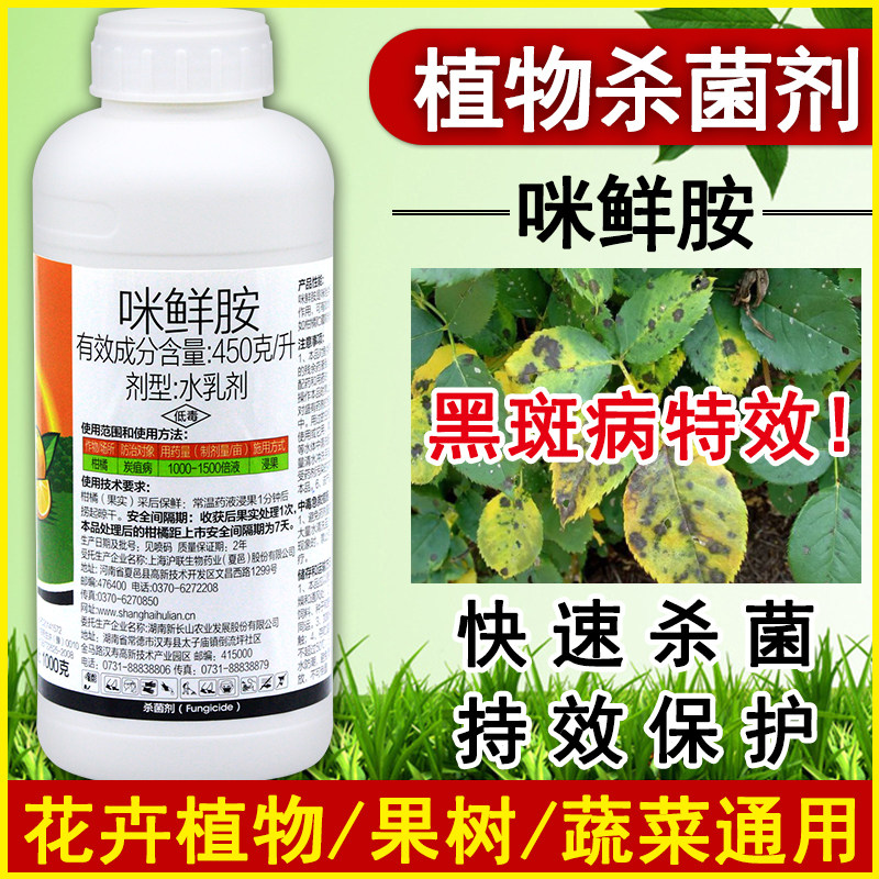 咪鲜胺黑斑病专用药炭疽病柑橘果树兰花茶叶多肉月季玫瑰花杀菌剂