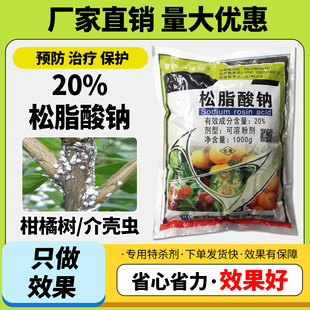 松脂酸钠20% 松碱合剂果树矢尖蚧介壳虫代替石硫合剂杀虫剂农药
