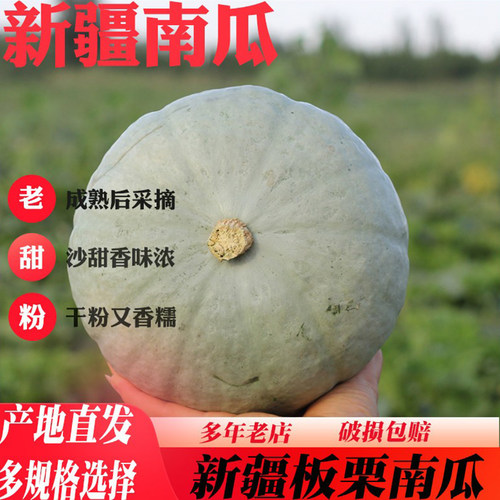 新疆板栗味老南瓜甘甜粉面