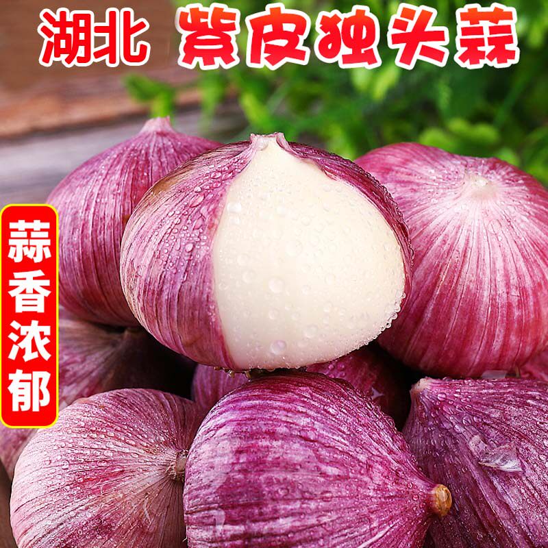 2023独蒜大蒜头紫皮新鲜种籽子孑干蒜湖北吉阳蒜砣蓉餐饮香料云南