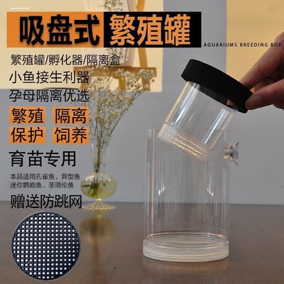 孔雀鱼繁殖隔离盒产卵桶母鱼孵化网产房小鱼幼鱼隔离透明产子产箱