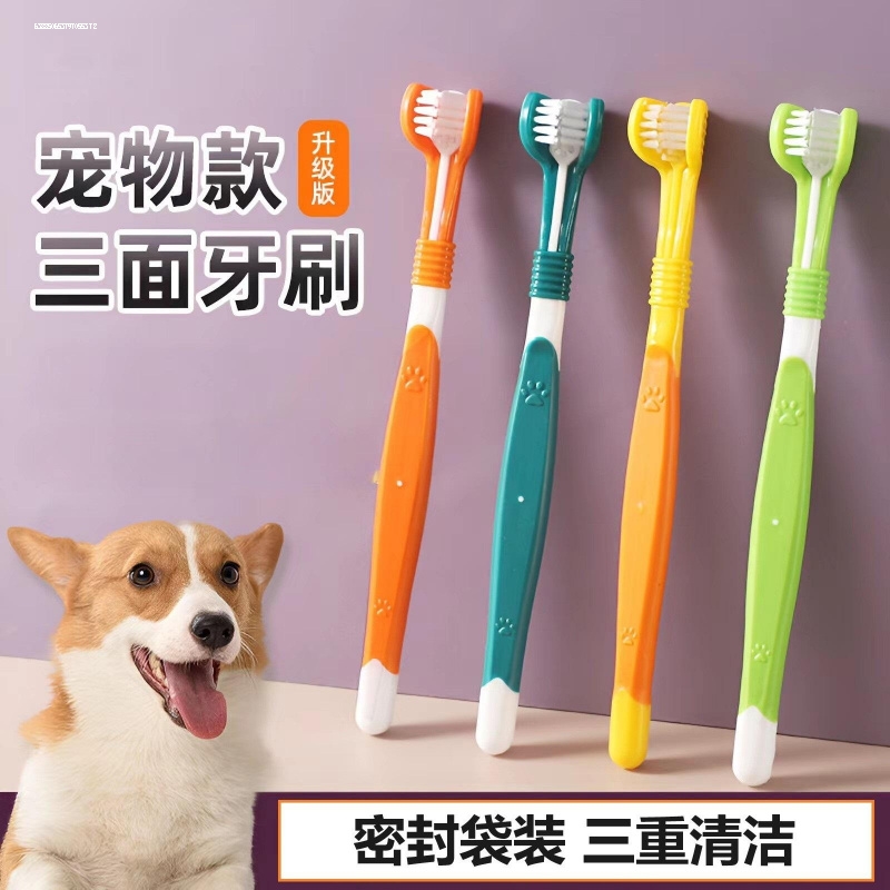新款宠物狗狗三头牙刷 多角度清洁祛除牙结石 金毛边牧中大型犬用