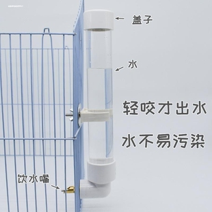 撞针水壶鹦鹉专用饮水器自动喂水横丝虎皮牡丹小鸟食盒挂式喂食器