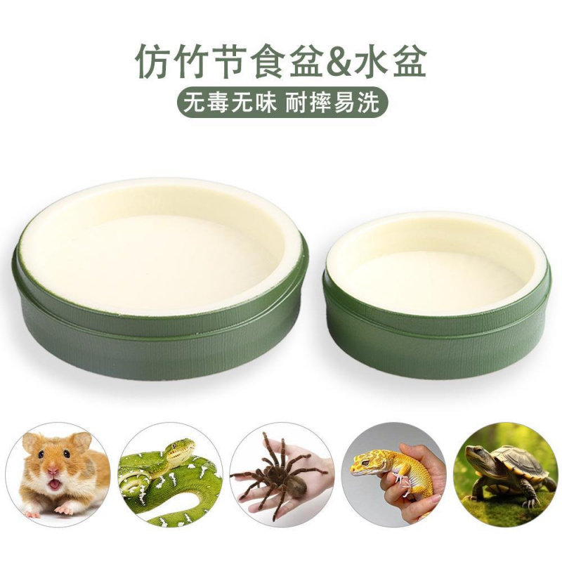 树叶食盆爬虫水盆陆龟守宫爬宠喝水碗塑料用品绿色生态仿真