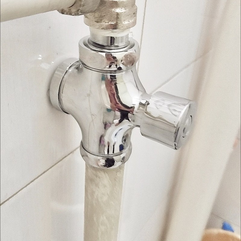 卫生间延时阀门冲洗阀门按压便池大便器手按式厕所开关蹲便器