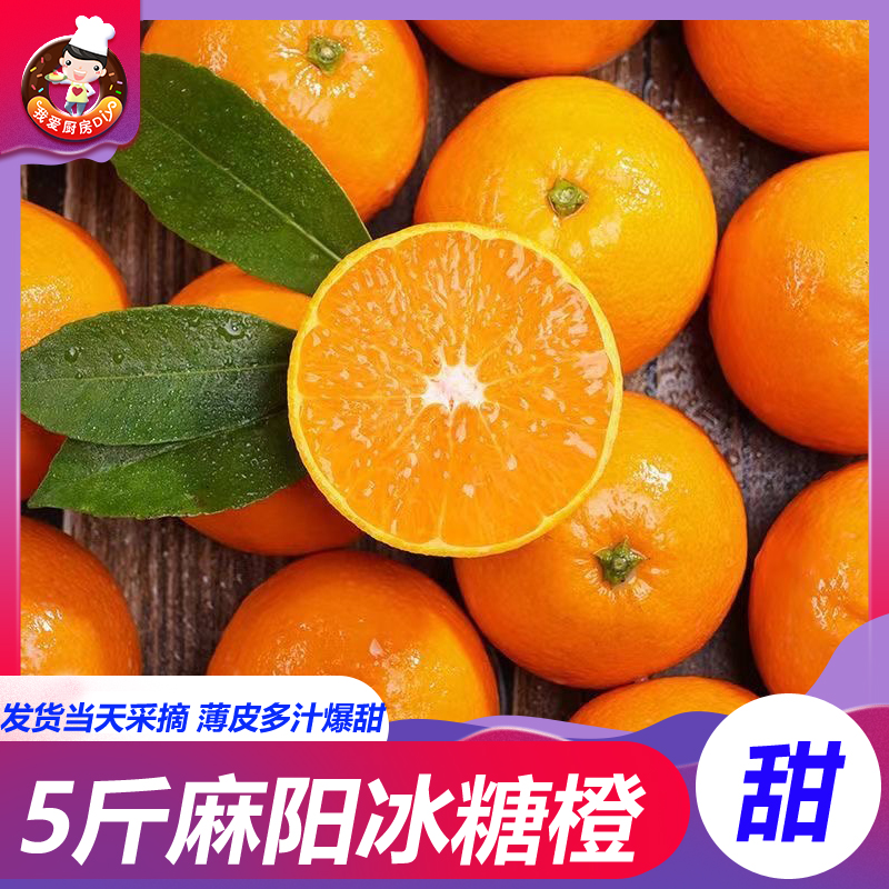 湖南麻阳冰糖橙大果5斤装