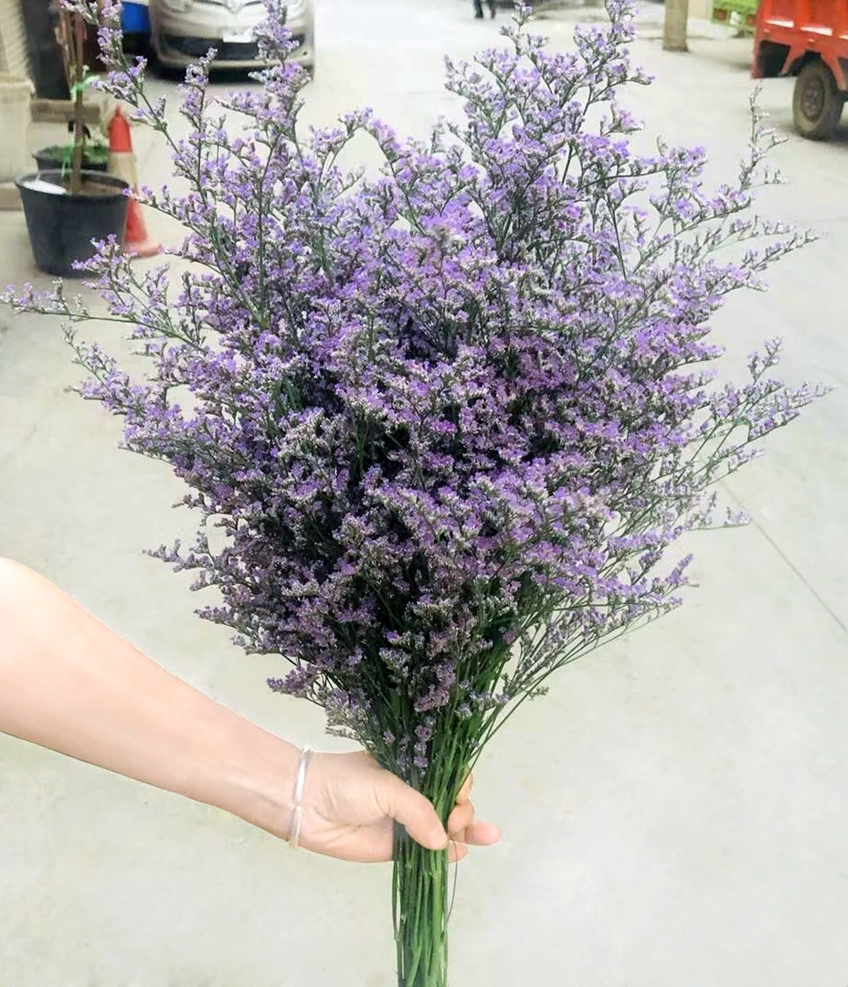 云南大束情人草干花真花花束鲜花自然风干居家装饰客厅卧室摆件