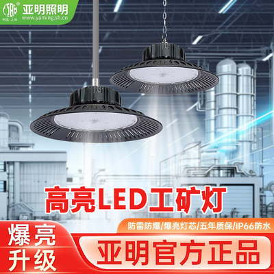 LED防水防尘工矿灯天棚灯50W100W室内灯车间照明灯仓库工厂吊灯