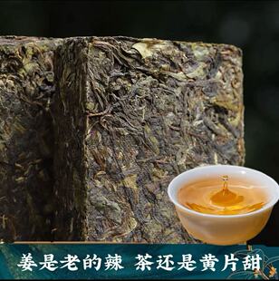 古树普洱易武正山黄金叶200克古树生茶砖正宗云南古树茶