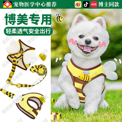 博美专用牵引绳小体犬泰迪比熊胸背式遛狗绳子夏天约克夏幼犬用品