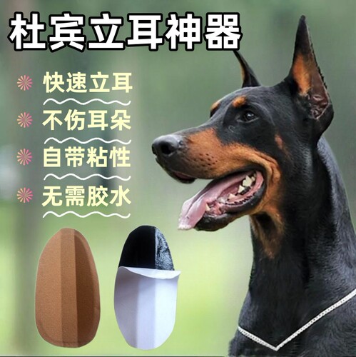 狗狗立耳神器狗耳朵辅助固定器